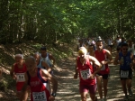 Filename=STA71291.jpg
Filesize=159KiB
Dimensions=1024x768
Date added=Aug 01, 2009 STA71291.jpg