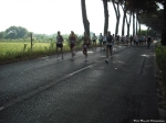 Filename=PisaMarathon_Foto_Fausto_Dellapiana35.jpg
Filesize=147KiB
Dimensions=1016x762
Date added=May 18, 2009 PisaMarathon_Foto_Fausto_Dellapiana35.jpg