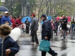IMGP0929.jpg