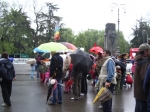 IMGP6142.jpg