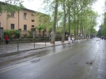 IMGP6160.jpg