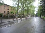 IMGP6162.jpg