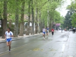 IMGP6164.jpg