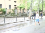 IMGP6184.jpg