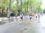 IMGP6206.jpg