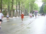 IMGP6228.jpg