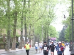 IMGP6234.jpg