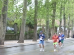IMGP6239.jpg