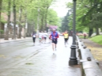 IMGP6247.jpg