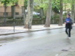 IMGP6308.jpg