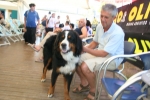 20090726140210.jpg