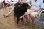 20090726140227.jpg