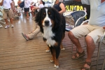 20090726140236.jpg