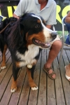 20090726140304.jpg