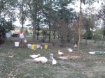 Filename=SDC10420.jpg
Filesize=194KiB
Dimensions=1016x762
Date added=Aug 30, 2009 SDC10420.jpg