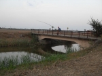 Filename=SDC10437.jpg
Filesize=103KiB
Dimensions=1016x762
Date added=Aug 30, 2009 SDC10437.jpg
