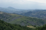 DSC02509.jpg