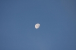 IMG_1153.jpg