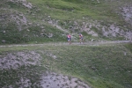 IMG_1167.jpg