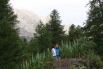 IMG_1569.jpg