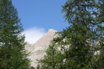 IMG_1599.jpg