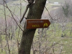 DSC06134.jpg
