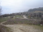 DSC06135.jpg