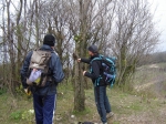 DSC06136.jpg