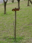 DSC06149.jpg