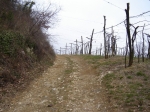DSC06150.jpg