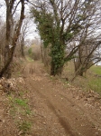 DSC06160.jpg