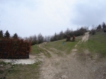 DSC06167.jpg