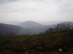 DSC06175.jpg