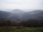 DSC06176.jpg