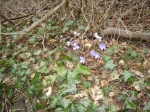 DSC06180.jpg
