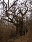 DSC06183.jpg