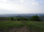 DSC06433.jpg