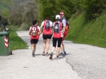 DSC06535.jpg