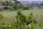 Filename=10_05_2009_Sommacampagna_Maratona_del_Custoza_roberto_mandelli_0629.jpg
Filesize=155KiB
Dimensions=1024x683
Date added=May 11, 2009 10_05_2009_Sommacampagna_Maratona_del_Custoza_roberto_mandelli_0629.jpg