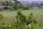 10_05_2009_Sommacampagna_Maratona_del_Custoza_roberto_mandelli_0629.jpg