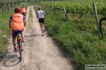 Filename=10_05_2009_Sommacampagna_Maratona_del_Custoza_roberto_mandelli_0740.jpg
Filesize=216KiB
Dimensions=1024x683
Date added=May 11, 2009 10_05_2009_Sommacampagna_Maratona_del_Custoza_roberto_mandelli_0740.jpg