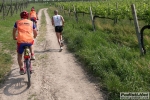 10_05_2009_Sommacampagna_Maratona_del_Custoza_roberto_mandelli_0740.jpg