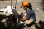 DSC03120.jpg