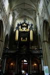 DSC05253.jpg