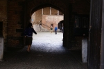 DSC05271.jpg