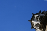 DSC05307.jpg