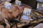 DSC05344.jpg