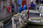 DSC05356.jpg