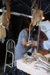 DSC05866.jpg