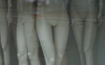 DSC06341.jpg